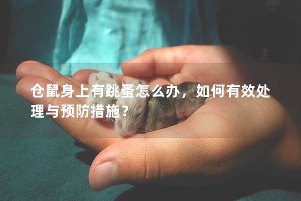 仓鼠身上有跳蚤怎么办，如何有效处理与预防措施？