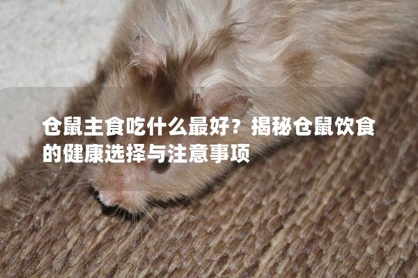 仓鼠主食吃什么最好？揭秘仓鼠饮食的健康选择与注意事项