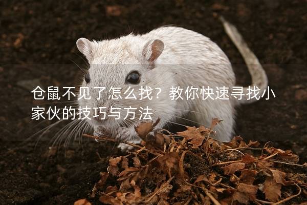 仓鼠不见了怎么找？教你快速寻找小家伙的技巧与方法