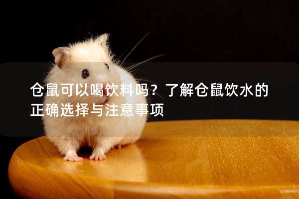 仓鼠可以喝饮料吗？了解仓鼠饮水的正确选择与注意事项