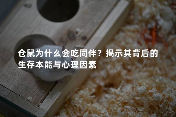 仓鼠为什么会吃同伴？揭示其背后的生存本能与心理因素
