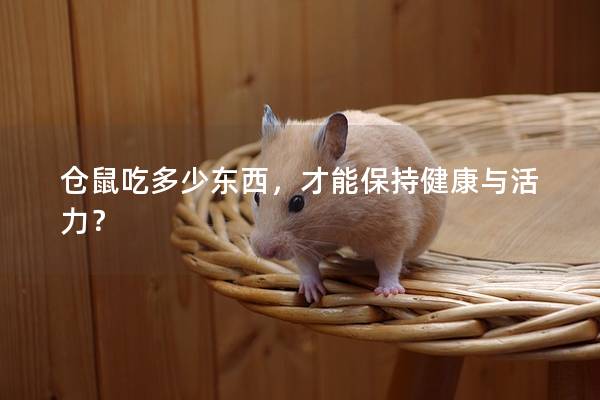 仓鼠吃多少东西，才能保持健康与活力？