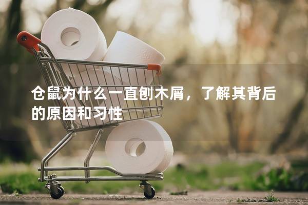 仓鼠为什么一直刨木屑，了解其背后的原因和习性