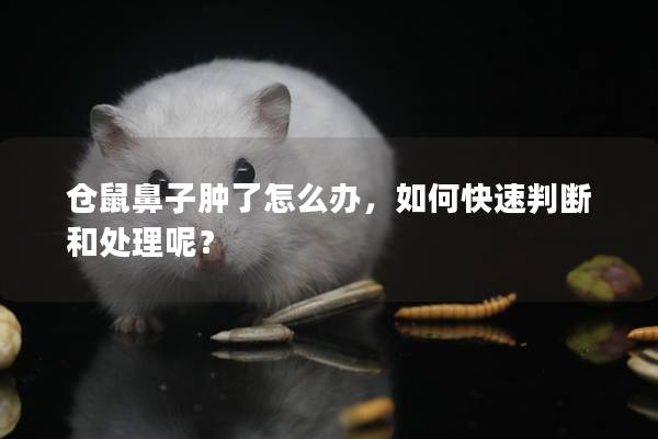 仓鼠鼻子肿了怎么办，如何快速判断和处理呢？