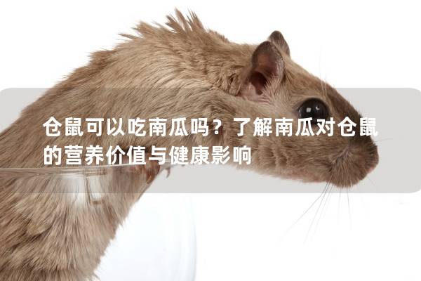 仓鼠可以吃南瓜吗？了解南瓜对仓鼠的营养价值与健康影响