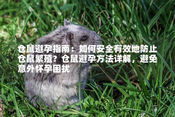 仓鼠避孕指南：如何安全有效地防止仓鼠繁殖？仓鼠避孕方法详解，避免意外怀孕困扰