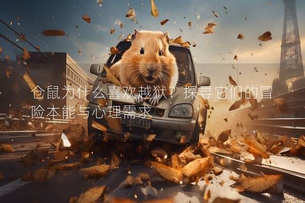 仓鼠为什么喜欢越狱？探寻它们的冒险本能与心理需求