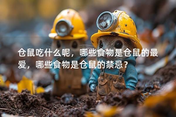 仓鼠吃什么呢，哪些食物是仓鼠的最爱，哪些食物是仓鼠的禁忌？