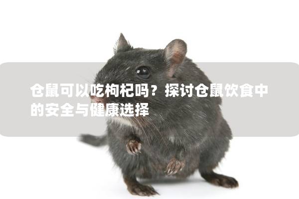 仓鼠可以吃枸杞吗？探讨仓鼠饮食中的安全与健康选择