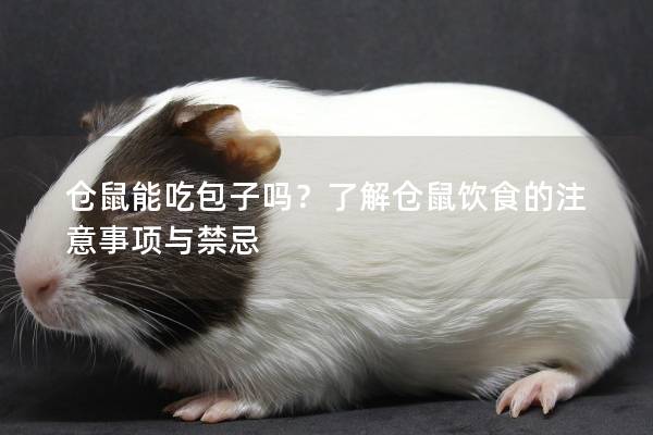 仓鼠能吃包子吗？了解仓鼠饮食的注意事项与禁忌