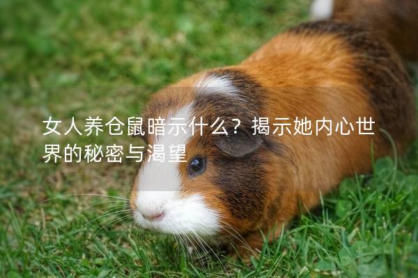 女人养仓鼠暗示什么？揭示她内心世界的秘密与渴望