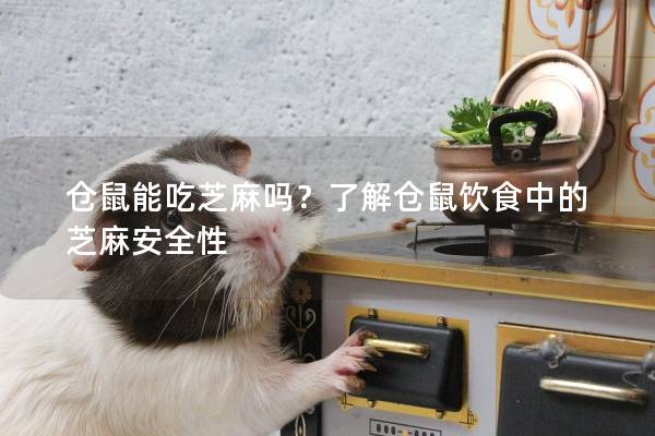 仓鼠能吃芝麻吗？了解仓鼠饮食中的芝麻安全性