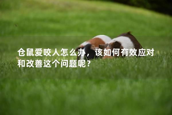 仓鼠爱咬人怎么办，该如何有效应对和改善这个问题呢？