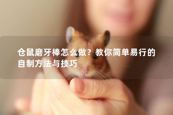 仓鼠磨牙棒怎么做？教你简单易行的自制方法与技巧
