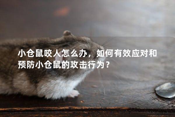 小仓鼠咬人怎么办，如何有效应对和预防小仓鼠的攻击行为？