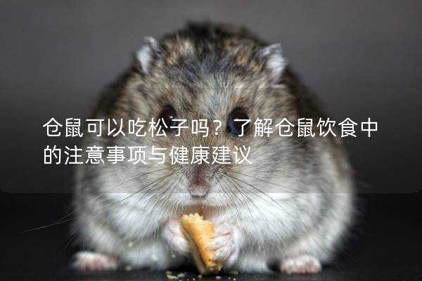 仓鼠可以吃松子吗？了解仓鼠饮食中的注意事项与健康建议