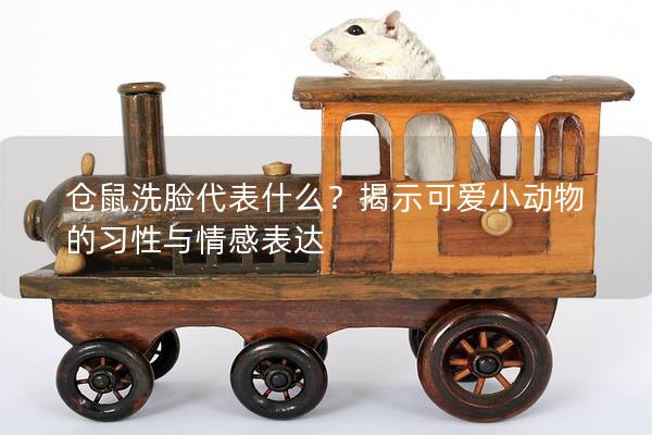 仓鼠洗脸代表什么？揭示可爱小动物的习性与情感表达