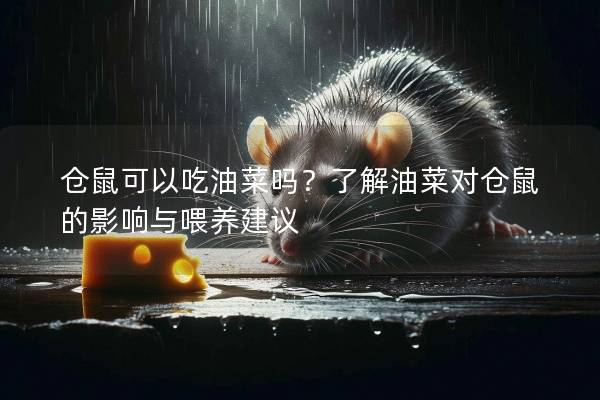 仓鼠可以吃油菜吗？了解油菜对仓鼠的影响与喂养建议