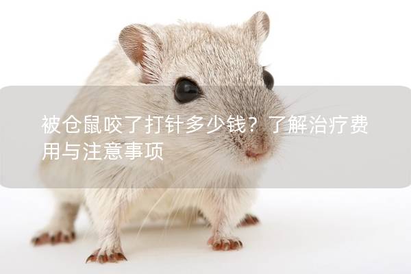 被仓鼠咬了打针多少钱？了解治疗费用与注意事项