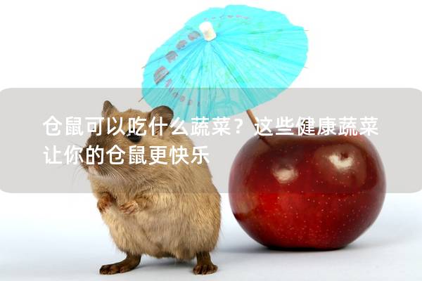 仓鼠可以吃什么蔬菜？这些健康蔬菜让你的仓鼠更快乐