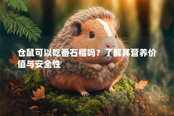 仓鼠可以吃番石榴吗？了解其营养价值与安全性
