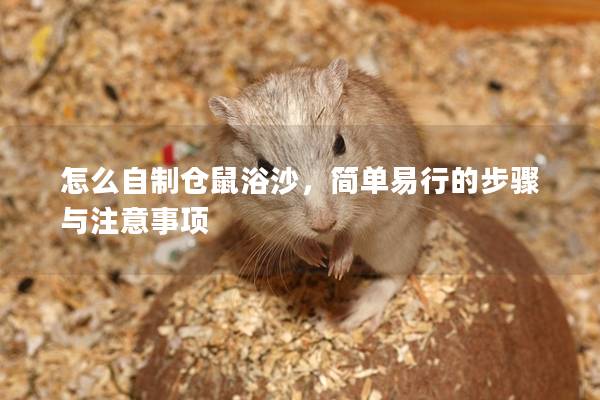 怎么自制仓鼠浴沙，简单易行的步骤与注意事项