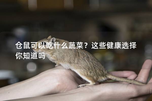 仓鼠可以吃什么蔬菜？这些健康选择你知道吗