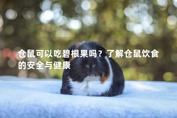 仓鼠可以吃碧根果吗？了解仓鼠饮食的安全与健康