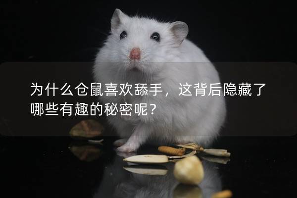 为什么仓鼠喜欢舔手，这背后隐藏了哪些有趣的秘密呢？