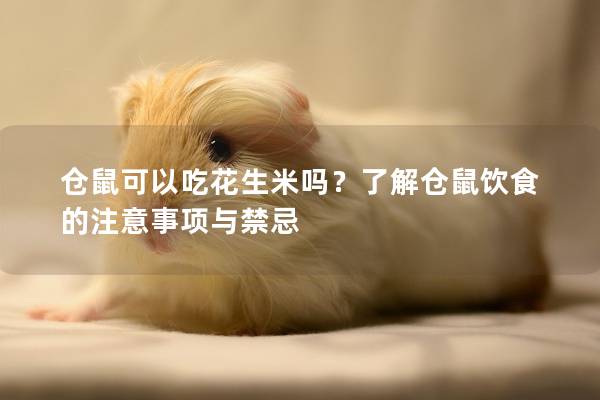 仓鼠可以吃花生米吗？了解仓鼠饮食的注意事项与禁忌