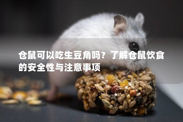 仓鼠可以吃生豆角吗？了解仓鼠饮食的安全性与注意事项