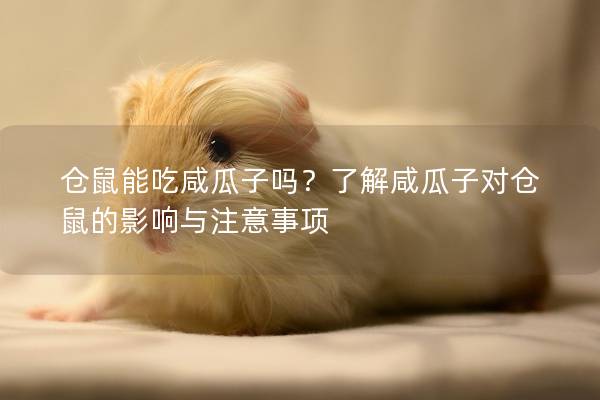 仓鼠能吃咸瓜子吗？了解咸瓜子对仓鼠的影响与注意事项