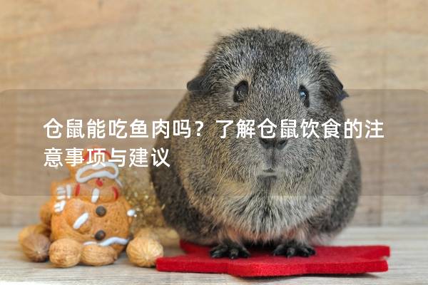 仓鼠能吃鱼肉吗？了解仓鼠饮食的注意事项与建议