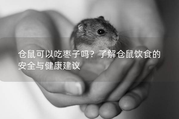 仓鼠可以吃枣子吗？了解仓鼠饮食的安全与健康建议