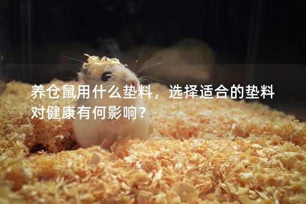 养仓鼠用什么垫料，选择适合的垫料对健康有何影响？