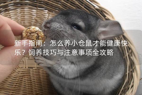 新手指南：怎么养小仓鼠才能健康快乐？饲养技巧与注意事项全攻略