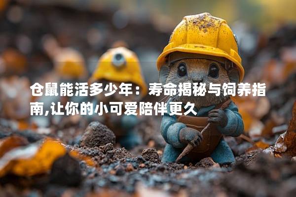 仓鼠能活多少年：寿命揭秘与饲养指南,让你的小可爱陪伴更久