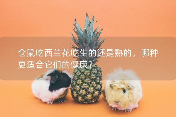 仓鼠吃西兰花吃生的还是熟的，哪种更适合它们的健康？