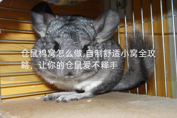 仓鼠棉窝怎么做,自制舒适小窝全攻略，让你的仓鼠爱不释手