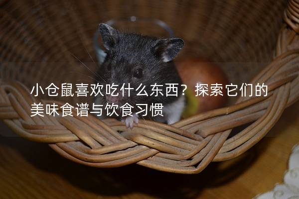 小仓鼠喜欢吃什么东西？探索它们的美味食谱与饮食习惯