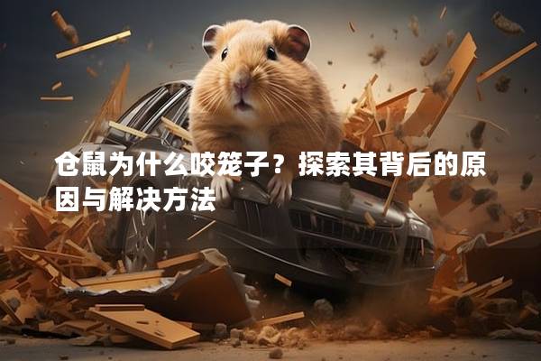 仓鼠为什么咬笼子？探索其背后的原因与解决方法