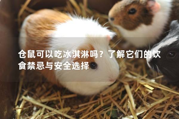 仓鼠可以吃冰淇淋吗？了解它们的饮食禁忌与安全选择