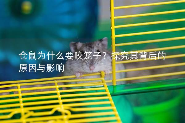 仓鼠为什么要咬笼子？探究其背后的原因与影响