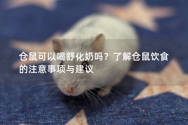 仓鼠可以喝舒化奶吗？了解仓鼠饮食的注意事项与建议