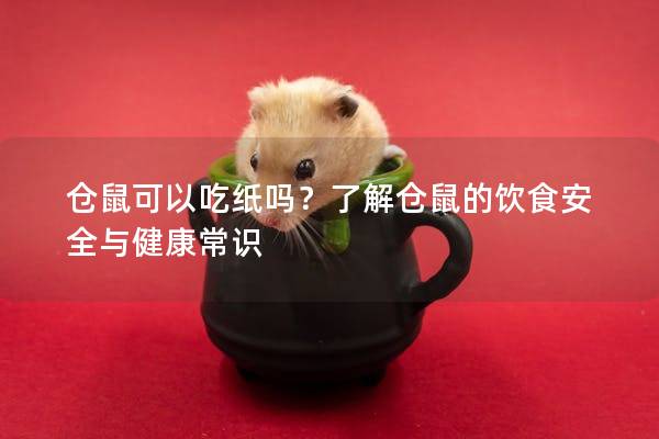 仓鼠可以吃纸吗？了解仓鼠的饮食安全与健康常识