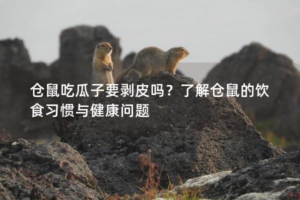 仓鼠吃瓜子要剥皮吗？了解仓鼠的饮食习惯与健康问题