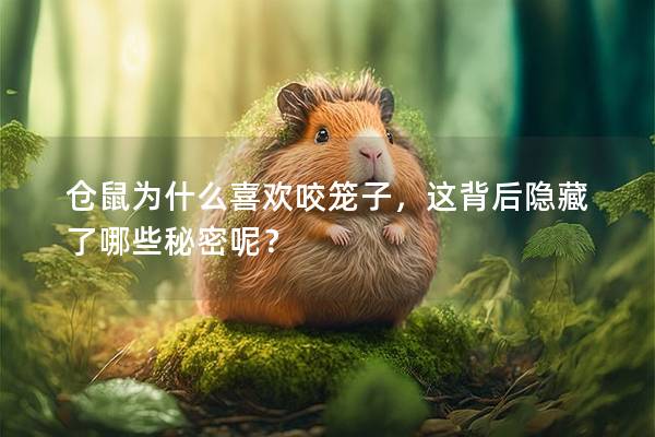 仓鼠为什么喜欢咬笼子，这背后隐藏了哪些秘密呢？