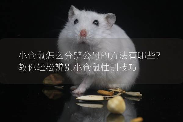 小仓鼠怎么分辨公母的方法有哪些？教你轻松辨别小仓鼠性别技巧
