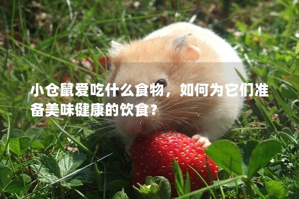 小仓鼠爱吃什么食物，如何为它们准备美味健康的饮食？