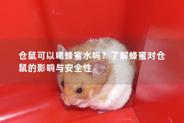 仓鼠可以喝蜂蜜水吗？了解蜂蜜对仓鼠的影响与安全性